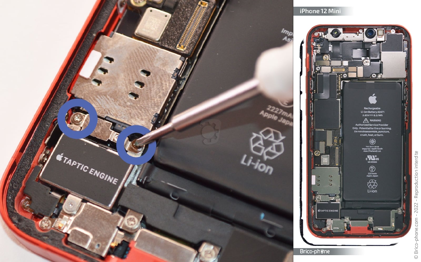 Remise à neuf sur iPhone 12 Mini photo 1